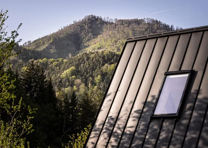 Διαμέρισμα Nowhere - Nationalpark Kalkalpen Ramsau am Dachstein